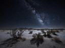 Roswell New Mexico Desert Landscape at Night